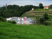 Salonschifffahrt auf der Elbe entlang der Dresdner Elbschlösser