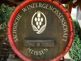 Viele kleine Produzenten liefern zur Kelterung an die Sächsische Winzergenossenschaft in Meissen