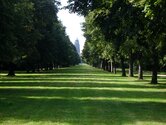 Spaziergänge über Wiesen und durch Wälder im Dresdner Großen Garten