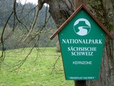 In der Kernzone des Nationalparks Sächsische Schweiz