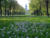 Spaziergänge im Großen Garten bieten Entspannung und Erholung